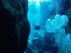 Iceland dive 028.jpg