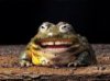 laugh frog.jpg
