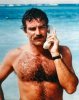 tomselleck.jpg