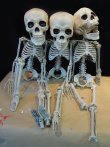 3_skeletons.jpg