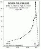 tulipomania.gif