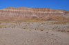 Painted-Desert-10-1201-10.jpg