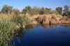 Sweetwater-Wetlands-11-0326-01.jpg