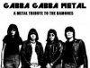 A%u002520Metal%20Tribute%20To%20The%20Ramones%20-%20Gabba%20Gabba%20Metal.jpg