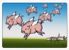 Swarm%u00252Bof%2Bflying%2Bpigs%2B2%2BKopie.jpg