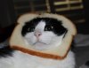 cat_bread_5.jpg