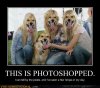 demotivational-posters-this-is-photoshopped.jpg