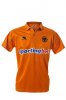 New-Wolves-Shirt-2013.jpg