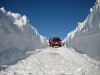 haighs-fundraising-snow-postman.jpg