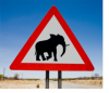 elephant_crossing_small1.png