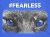 fearless-tshirt466-2392104_478x359.jpg