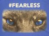 fearless-tshirt466-2392104_478x359 (2).jpg