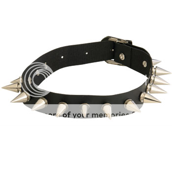 350__1_90234-choker-with-spikesde.png